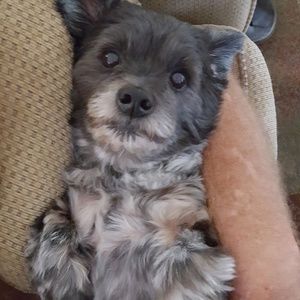 Meet your Posher, Cindy